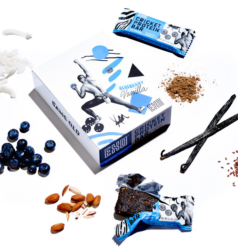 Blueberry Vanilla - Blueberry Vanilla